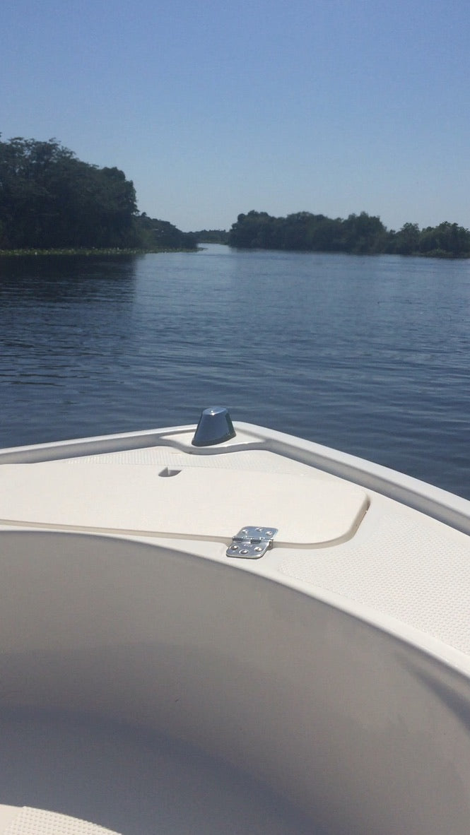 Boat Diver