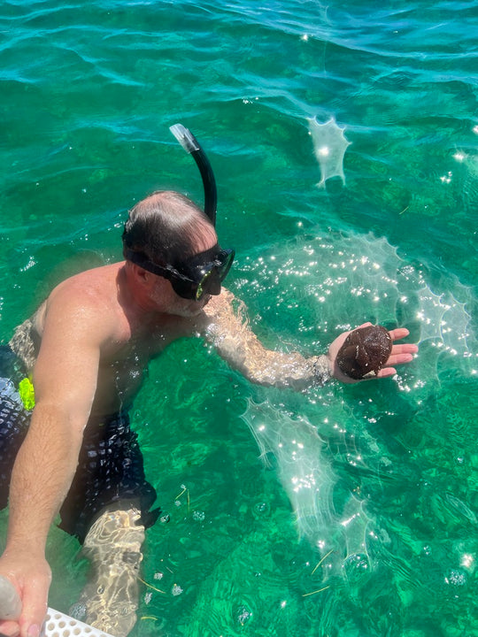 Adventure Diver