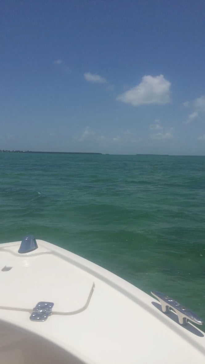 Boat Diver