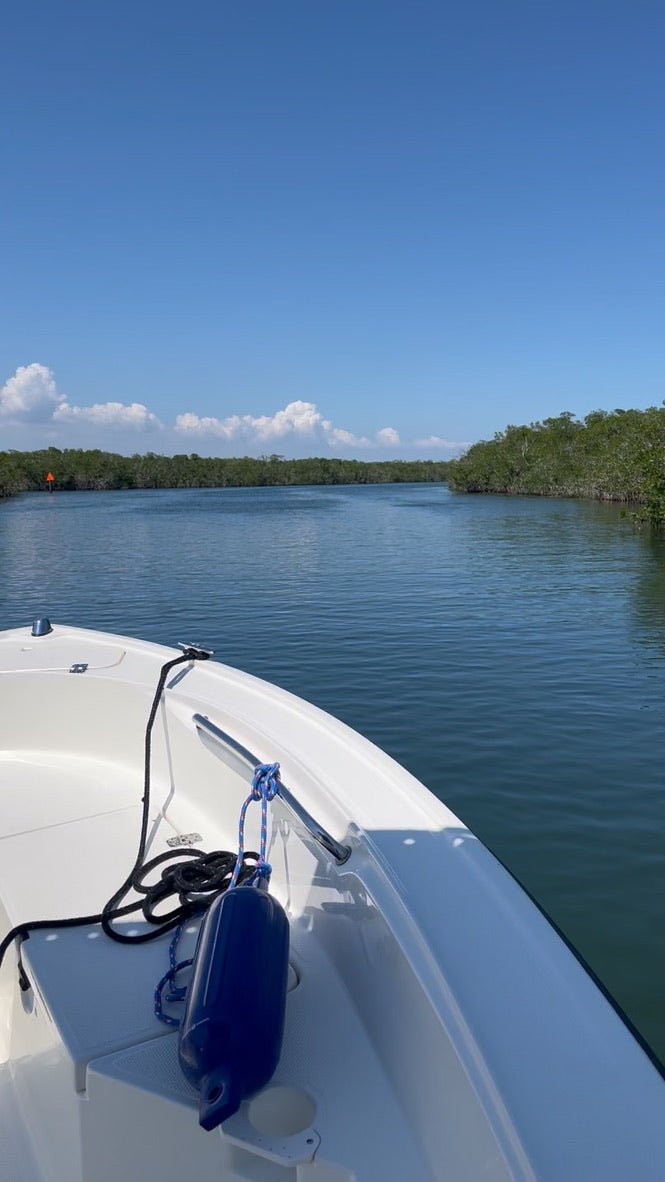 Boat Diver