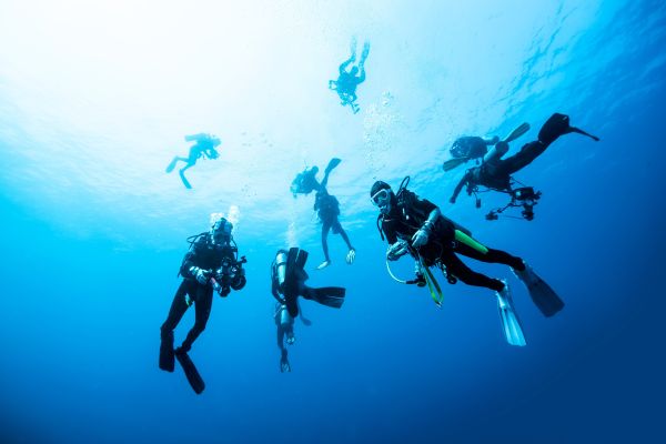 PADI Reactivate Program
