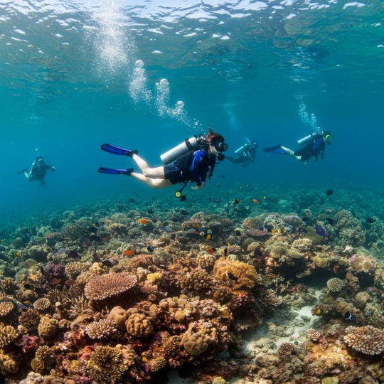 PADI Advanced Open Water Diver