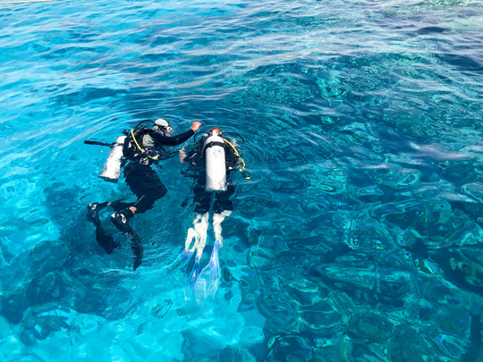 PADI Open Water Diver Course