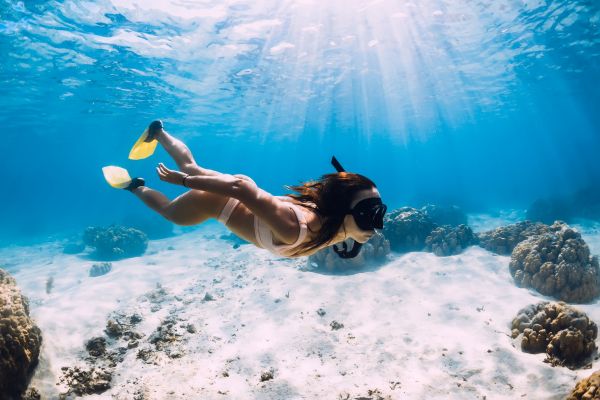 PADI Open Water Referral Part 2 of 2 (Open Water Dives)