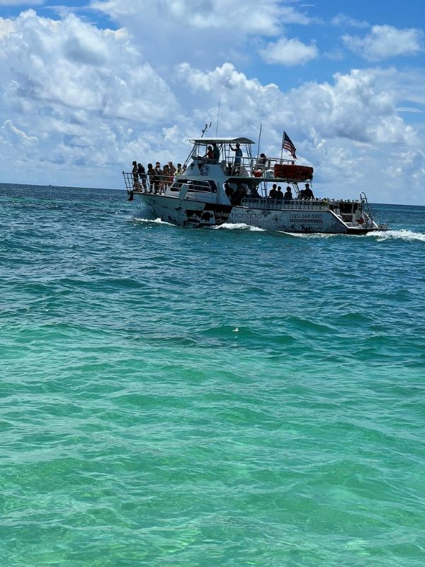 PADI Open Water Referral Part 1 of 2 (Theory and Pool Training)