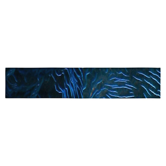 Giant Clam Headband