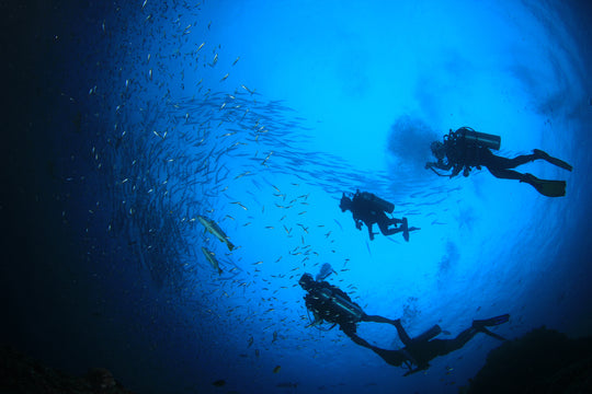 Full Face Mask Diver