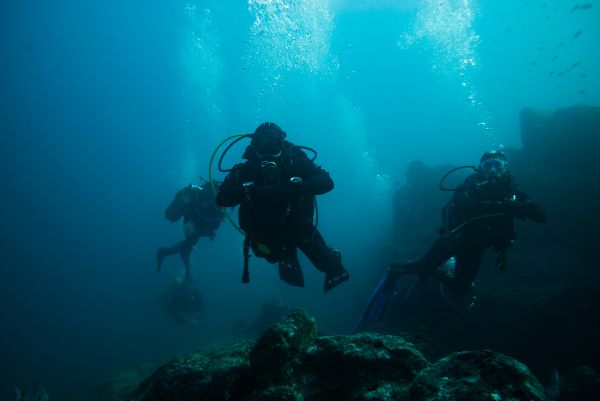 Dry Suit Diver