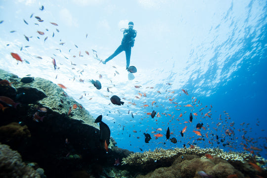 Full Face Mask Diver