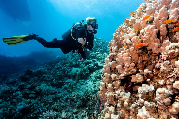 PADI Peak Performance Course
