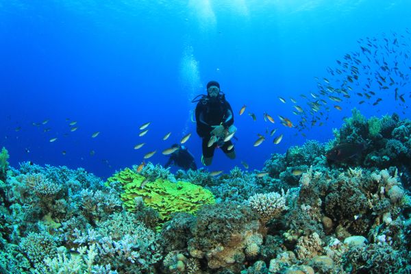 PADI Discover Scuba