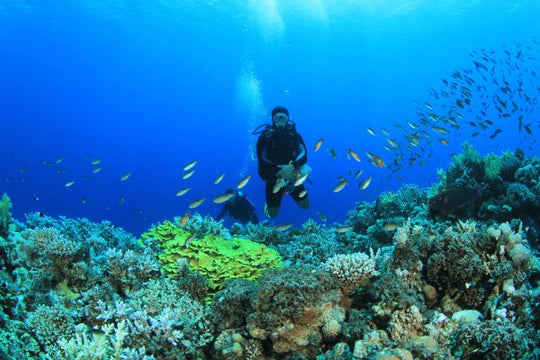 PADI Discover Scuba