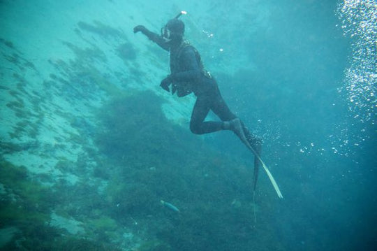 Underwater Navigator