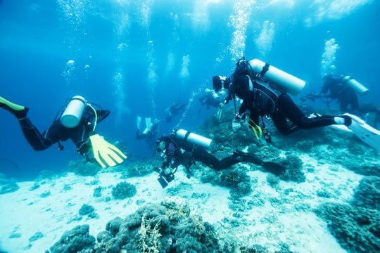 PADI Peak Performance Course