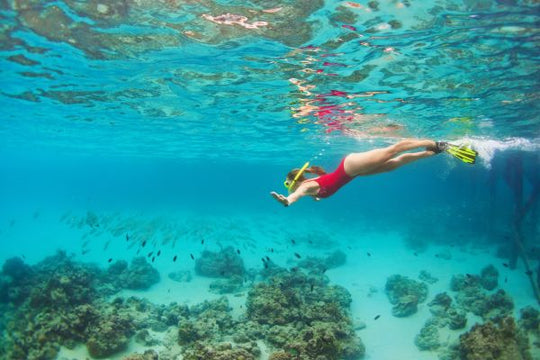 PADI Skin Diver