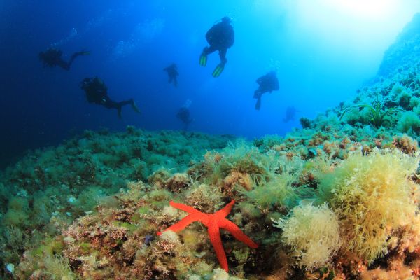 PADI Discover Scuba