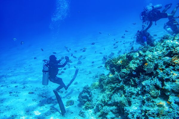 Wreck Diver