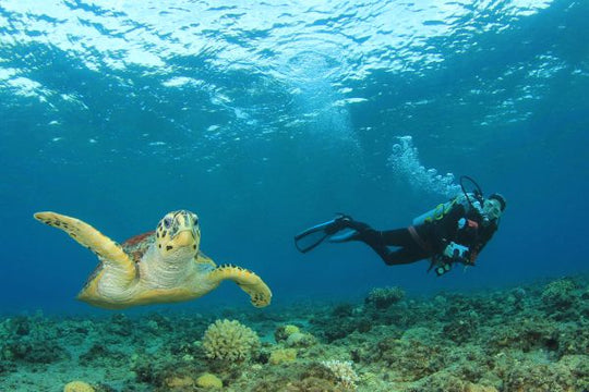PADI Discover Scuba