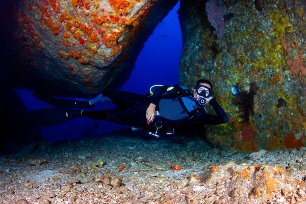 Night Diver