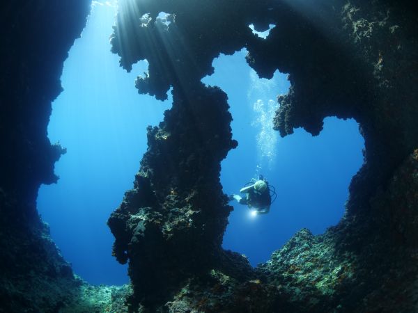 Deep Diver