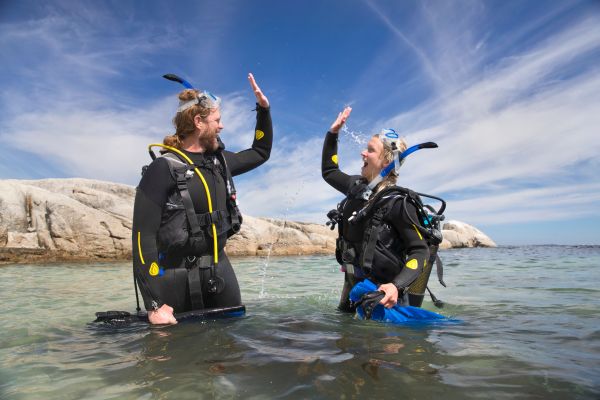 PADI Reactivate Program