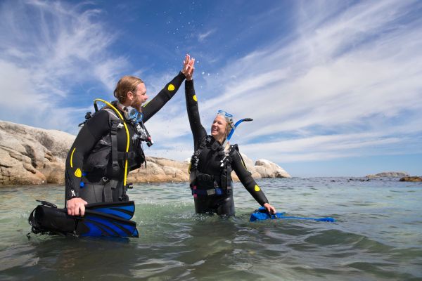 PADI Reactivate Program