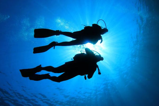 PADI Reactivate Program