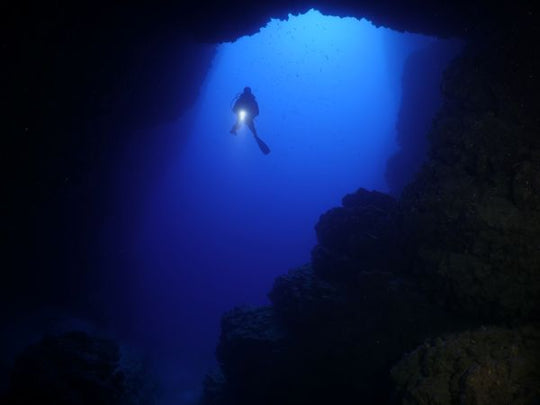 Wreck Diver