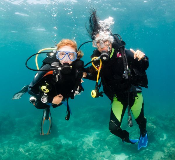 PADI FreeDiver Course