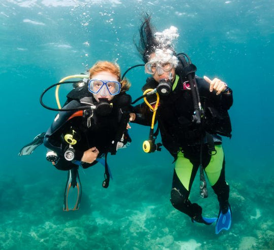 PADI FreeDiver Course