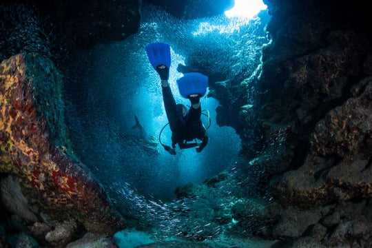 Wreck Diver