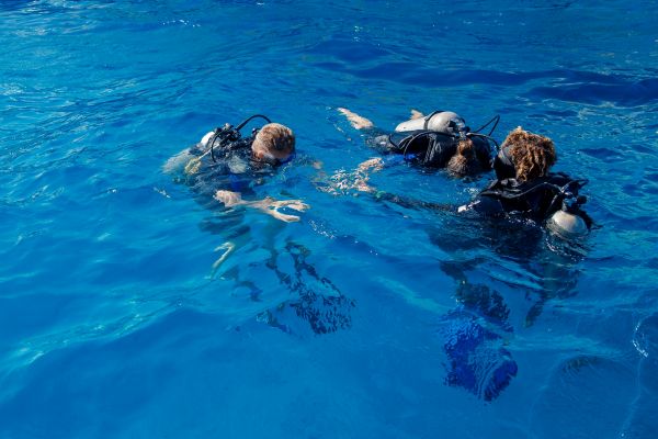PADI Open Water Referral Part 1 of 2 (Theory and Pool Training)