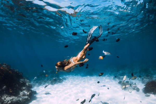 PADI Skin Diver