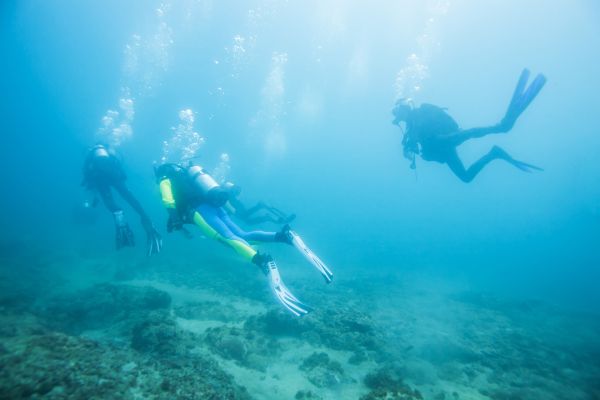 Dry Suit Diver