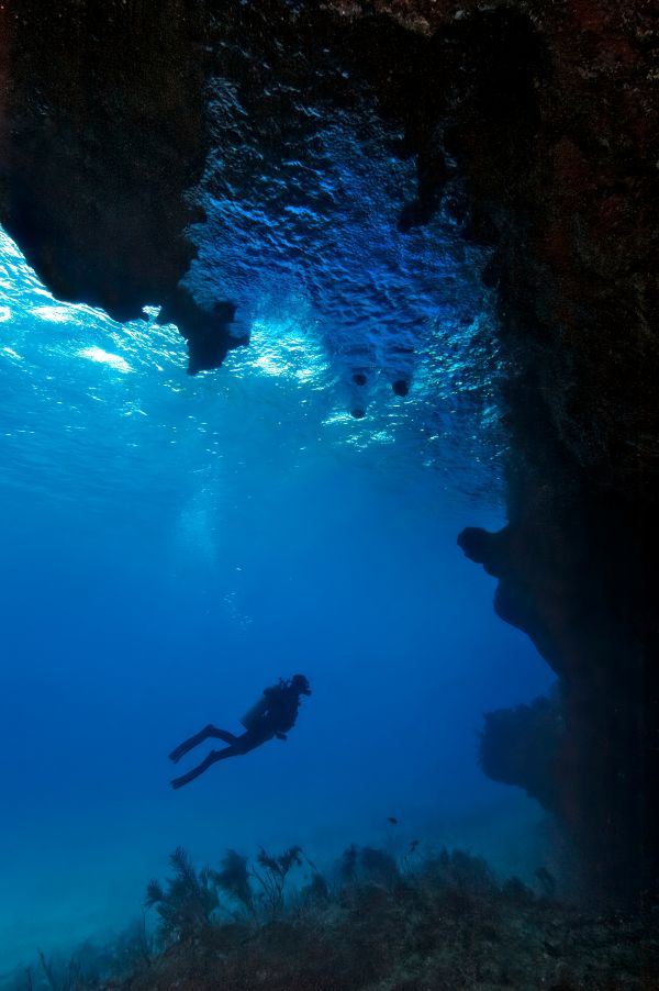 Deep Diver