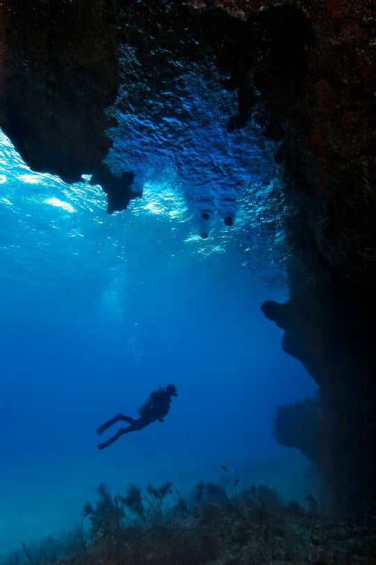 Deep Diver