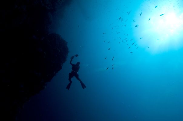 Deep Diver