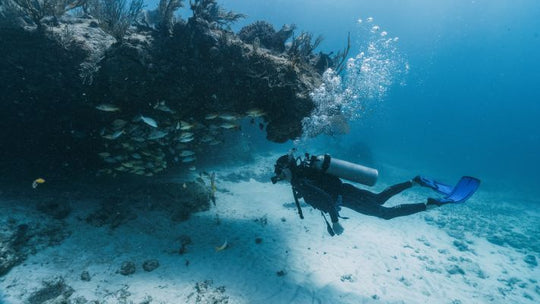 PADI Scuba Diver