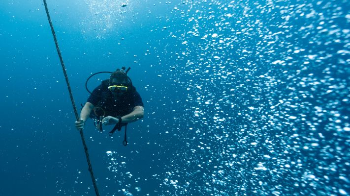 PADI Reactivate Program