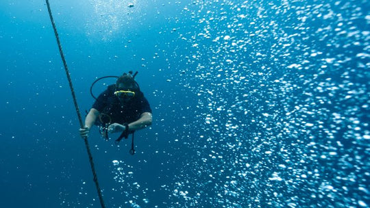 PADI Reactivate Program