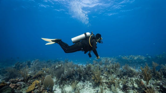 Dry Suit Diver