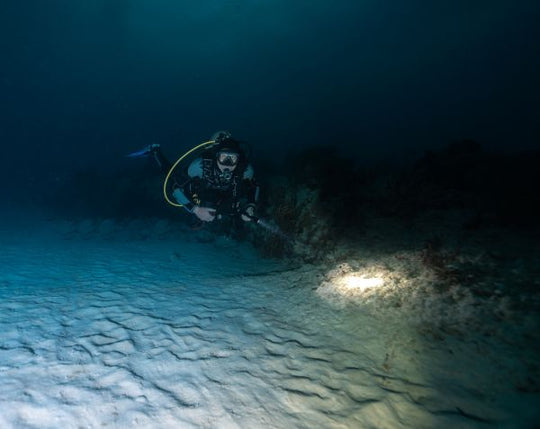 Night Diver