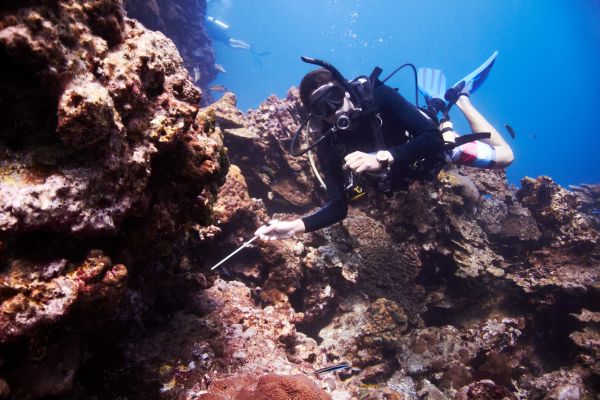 Drift Diver
