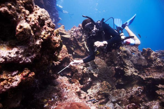 Drift Diver
