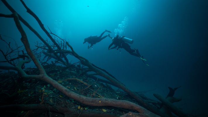 PADI Scuba Diver