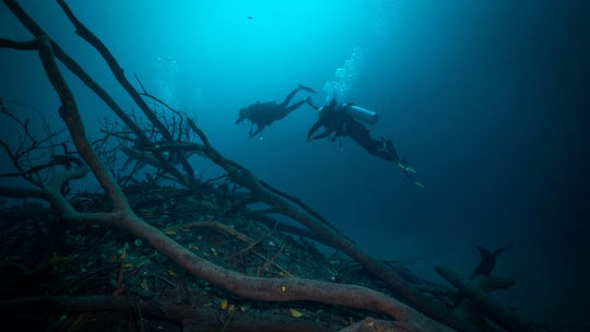 PADI Scuba Diver