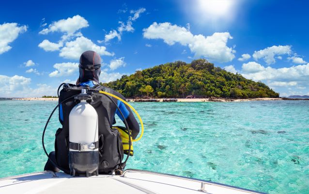 PADI Reactivate Program