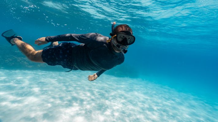 PADI Reactivate Program