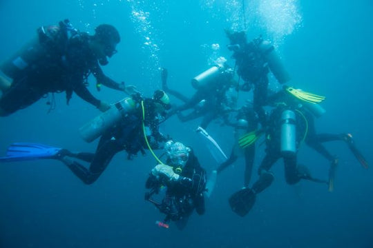 Dry Suit Diver