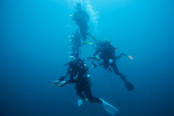 Dry Suit Diver